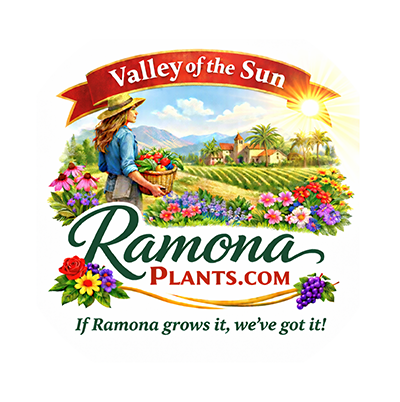Ramona Plants by Paradise Palms and Plants